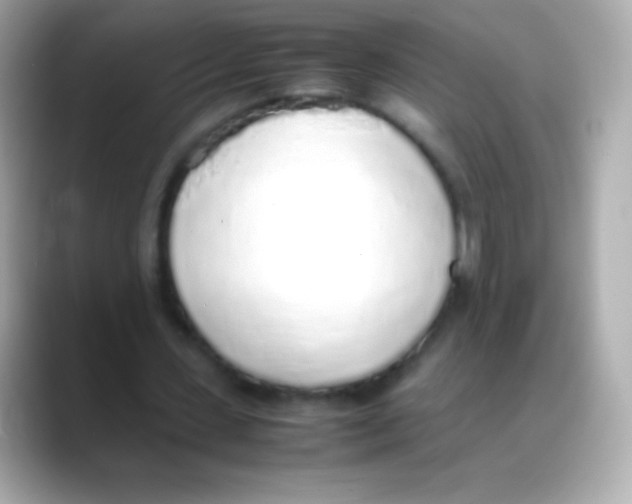 X0000088150531200706042031