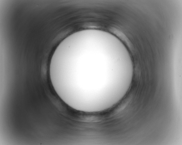 X0000088150533200706042031