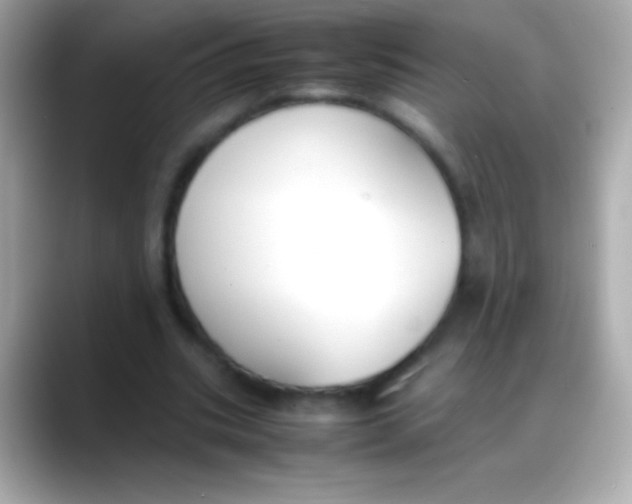 X0000088150535200706042031