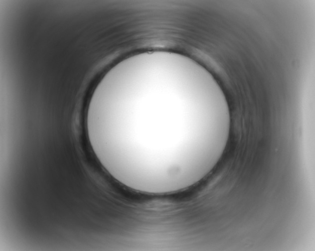 X0000088150536200706042031