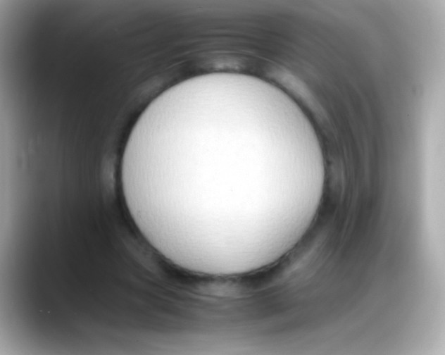 X0000088150537200706042031