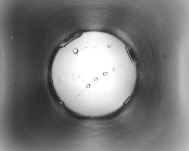 X0000088150538200706042031