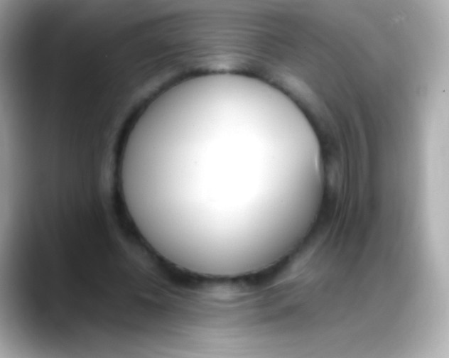 X0000088150540200706042031