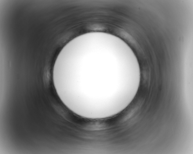 X0000088150541200706042031