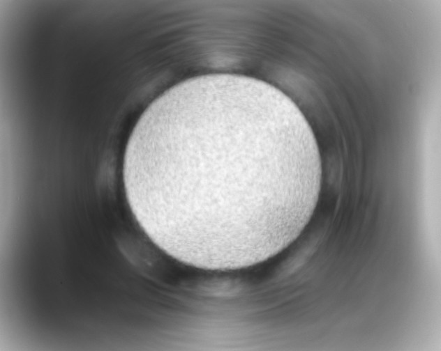 X0000088150542200706042031