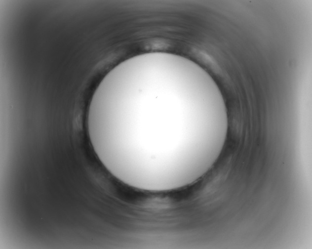 X0000088150543200706042031