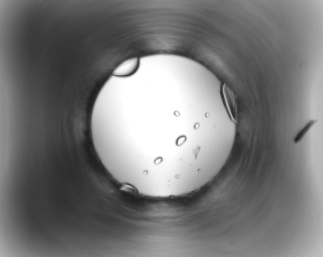 X0000088150544200706042031