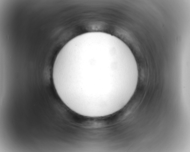 X0000088150545200706042031