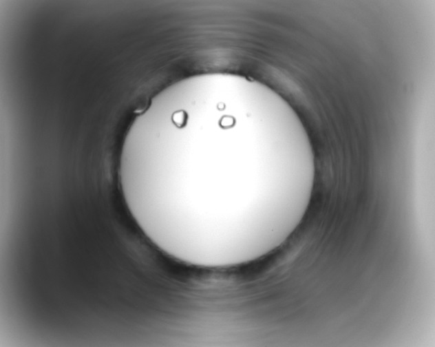 X0000088150546200706042031