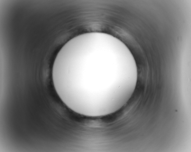 X0000088150548200706042031