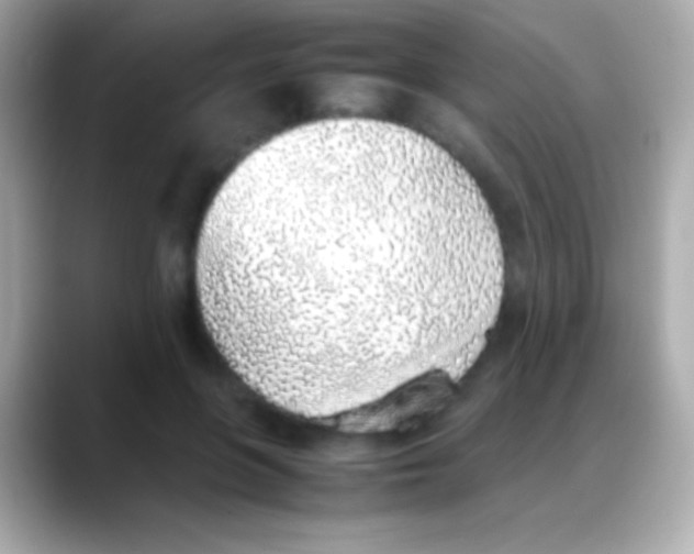 X0000088150551200706042031