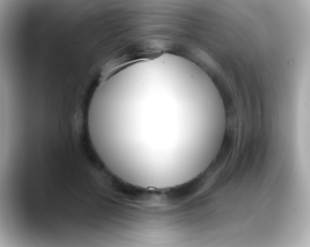 X0000088150552200706042031