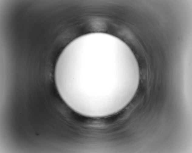 X0000088150553200706042031