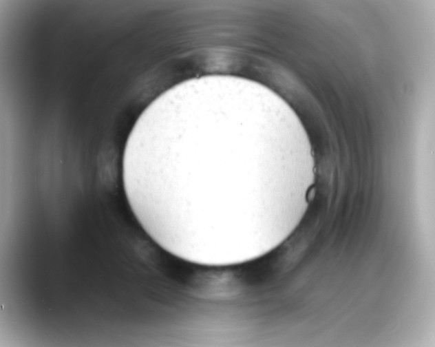 X0000088150554200706042031