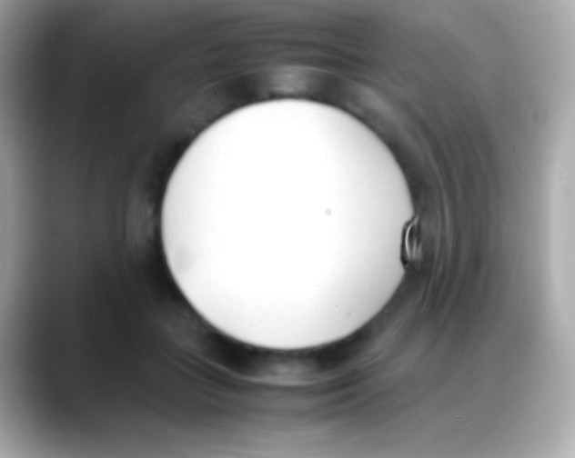 X0000088150555200706042031