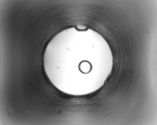 X0000088150556200706042031