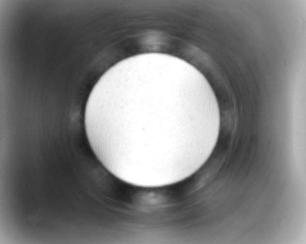 X0000088150557200706042031