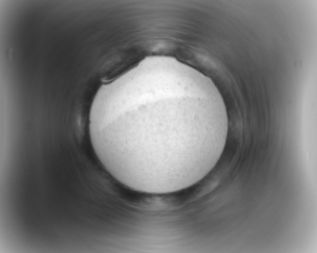 X0000088150558200706042031