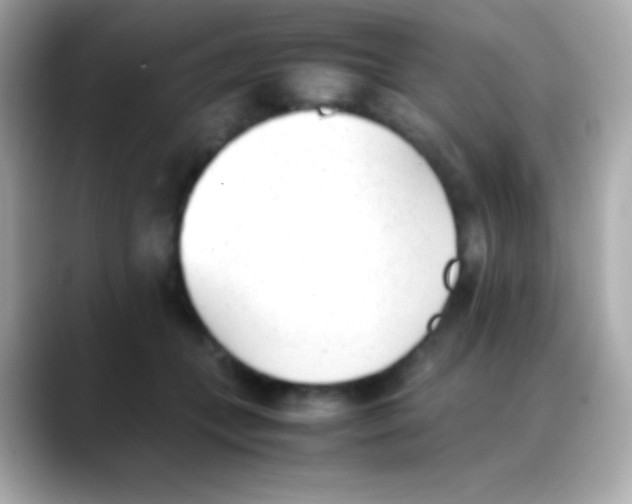 X0000088150559200706042031