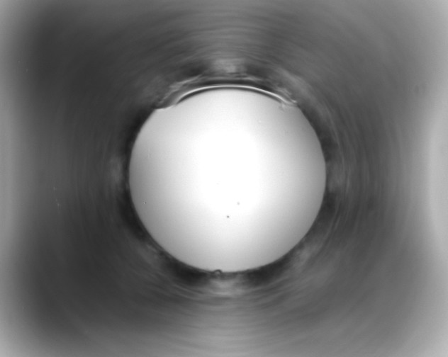 X0000088150560200706042031