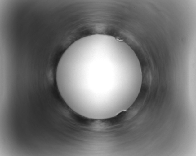 X0000088150562200706042031