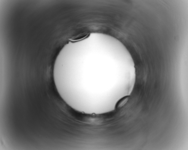 X0000088150563200706042031