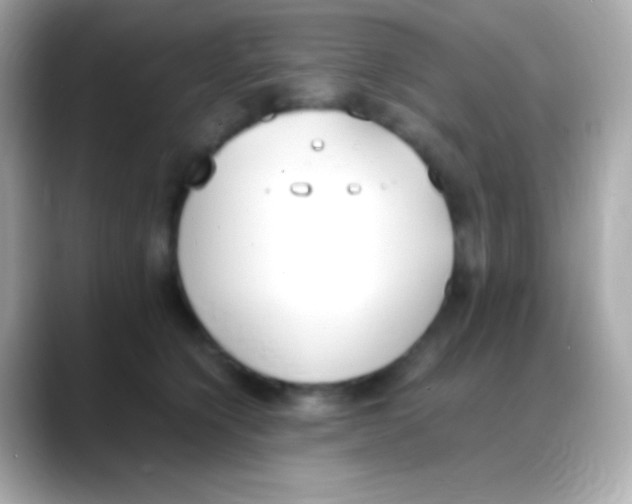 X0000088150564200706042031