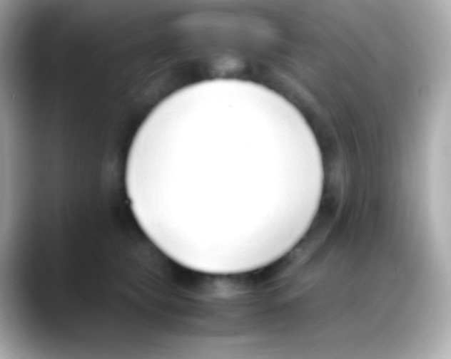 X0000088150565200706042031