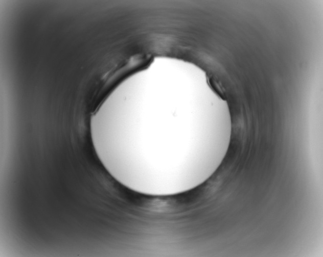 X0000088150566200706042031