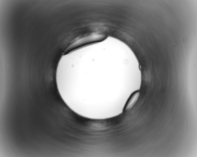 X0000088150567200706042031