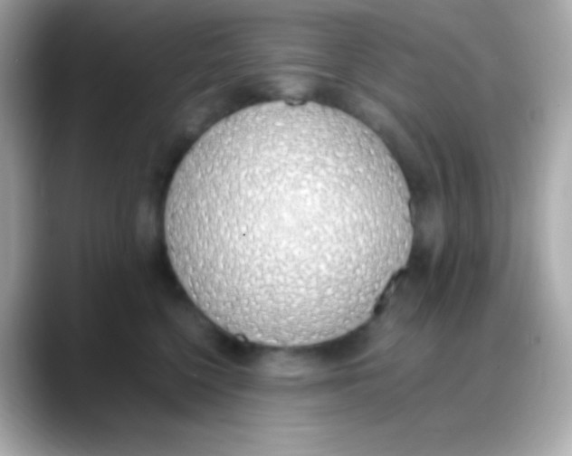 X0000088150568200706042031