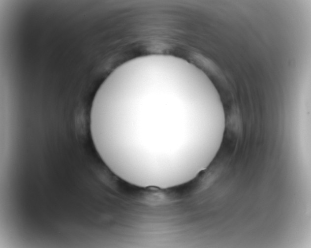 X0000088150572200706042031