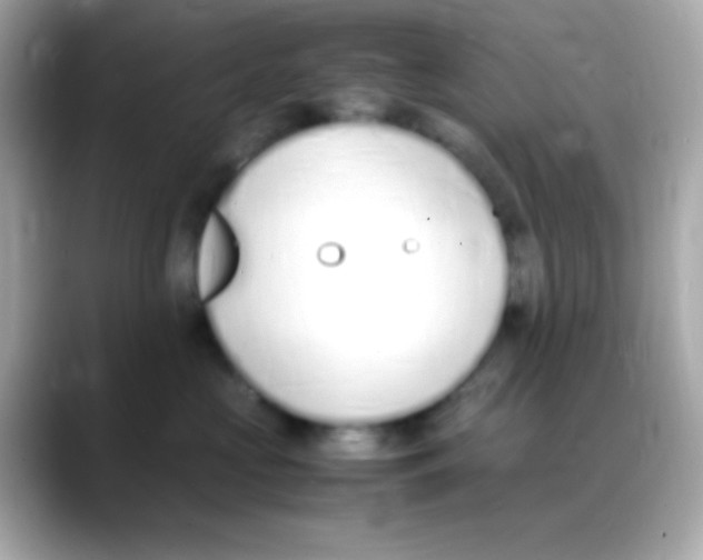 X0000088150573200706042031