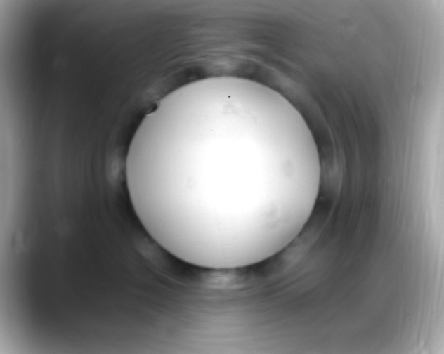 X0000088150574200706042031