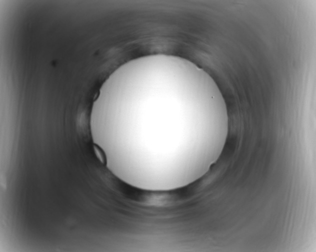 X0000088150575200706042031