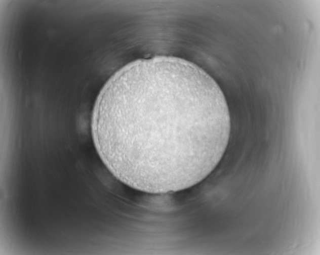 X0000088150576200706042031