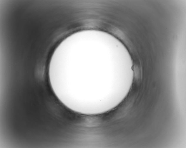 X0000088150579200706042031