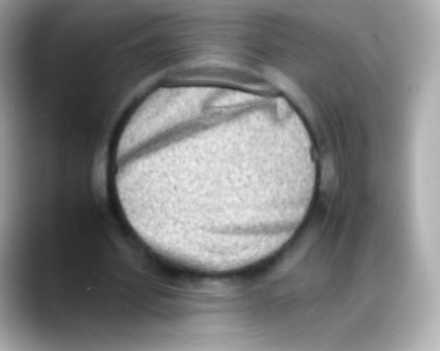 X0000088150580200706042031