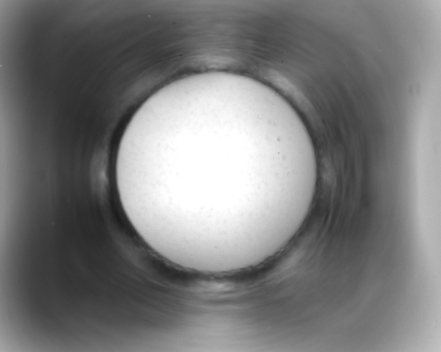 X0000088150582200706042031