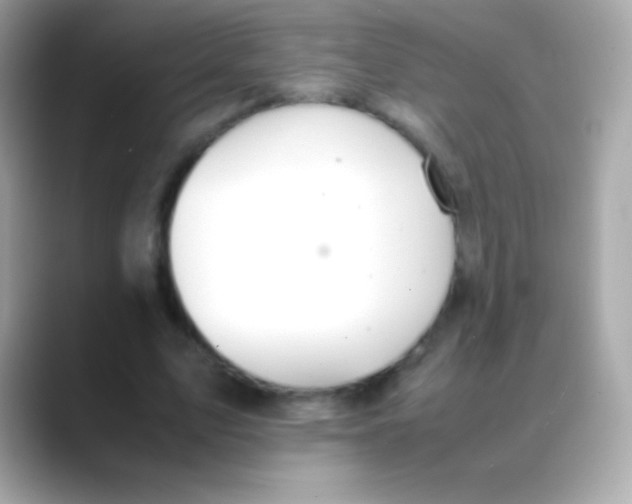 X0000088150583200706042031