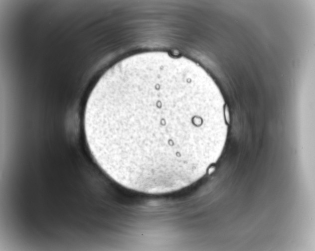 X0000088150584200706042031