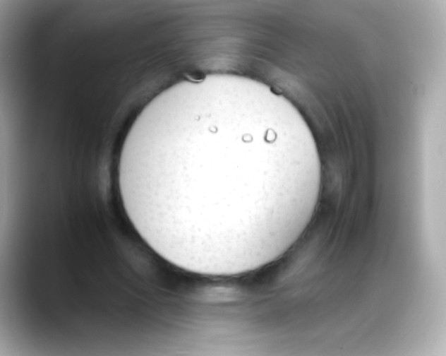 X0000088150586200706042031