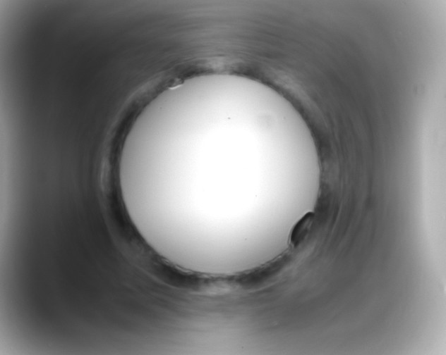 X0000088150587200706042031