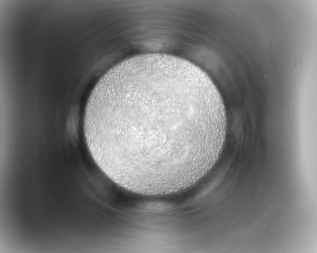 X0000088150590200706042031