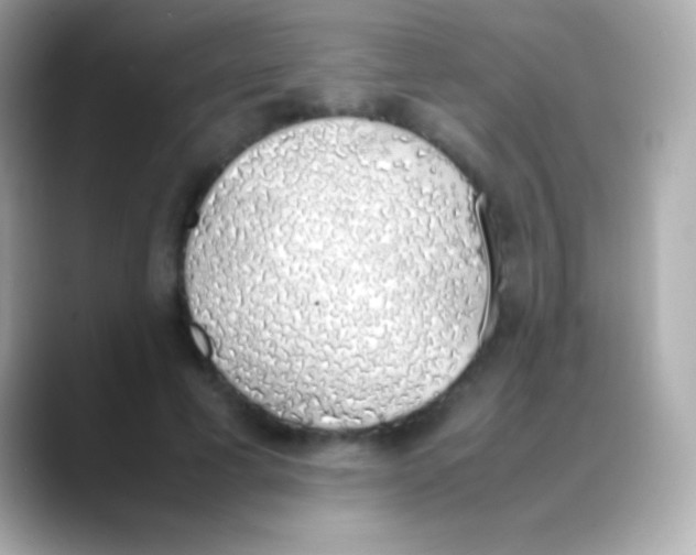 X0000088150593200706042030