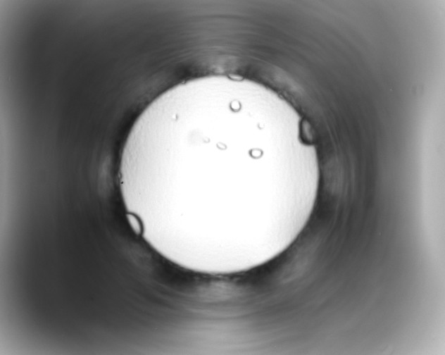 X0000088150594200706042030