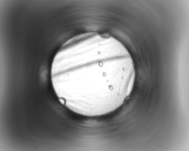 X0000088150596200706042030