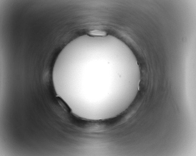 X0000088150597200706042030