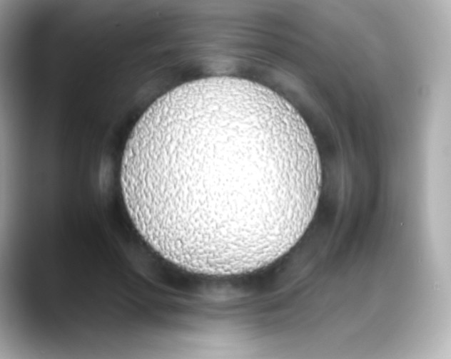 X0000088150598200706042030