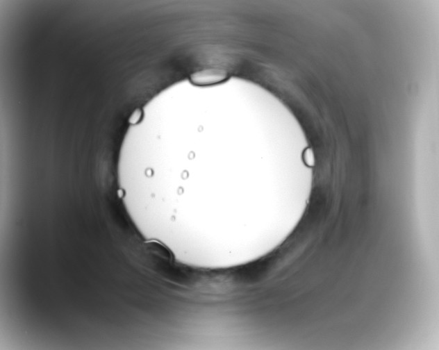 X0000088150599200706042030